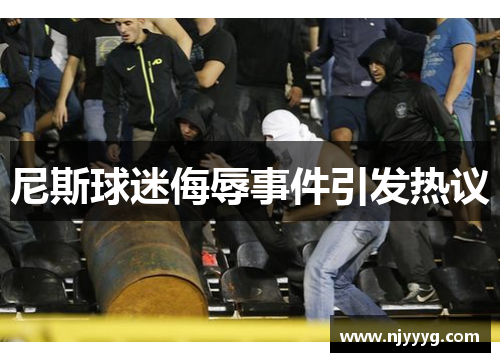 尼斯球迷侮辱事件引发热议